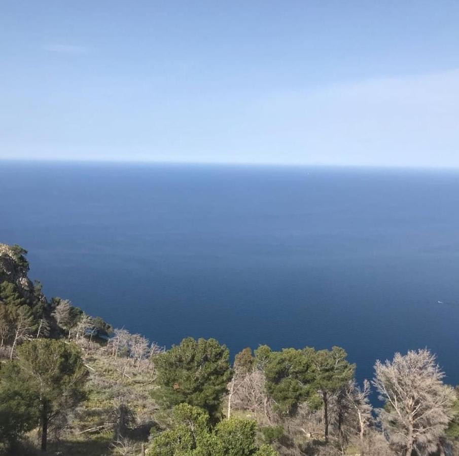 Apartament La Trinacria Mare Palermo Zewnętrze zdjęcie